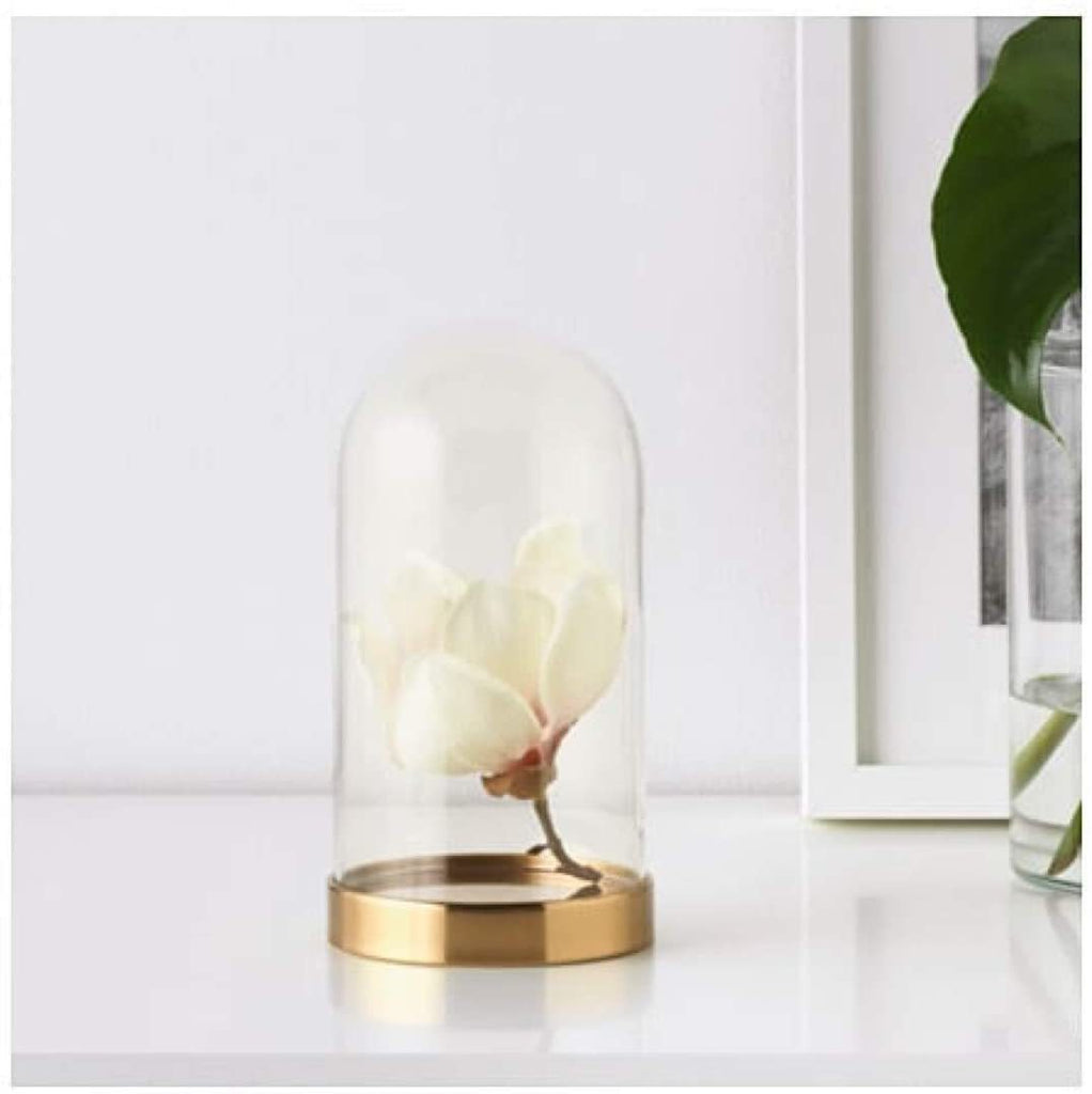 Glass Display Dome with Gold Base