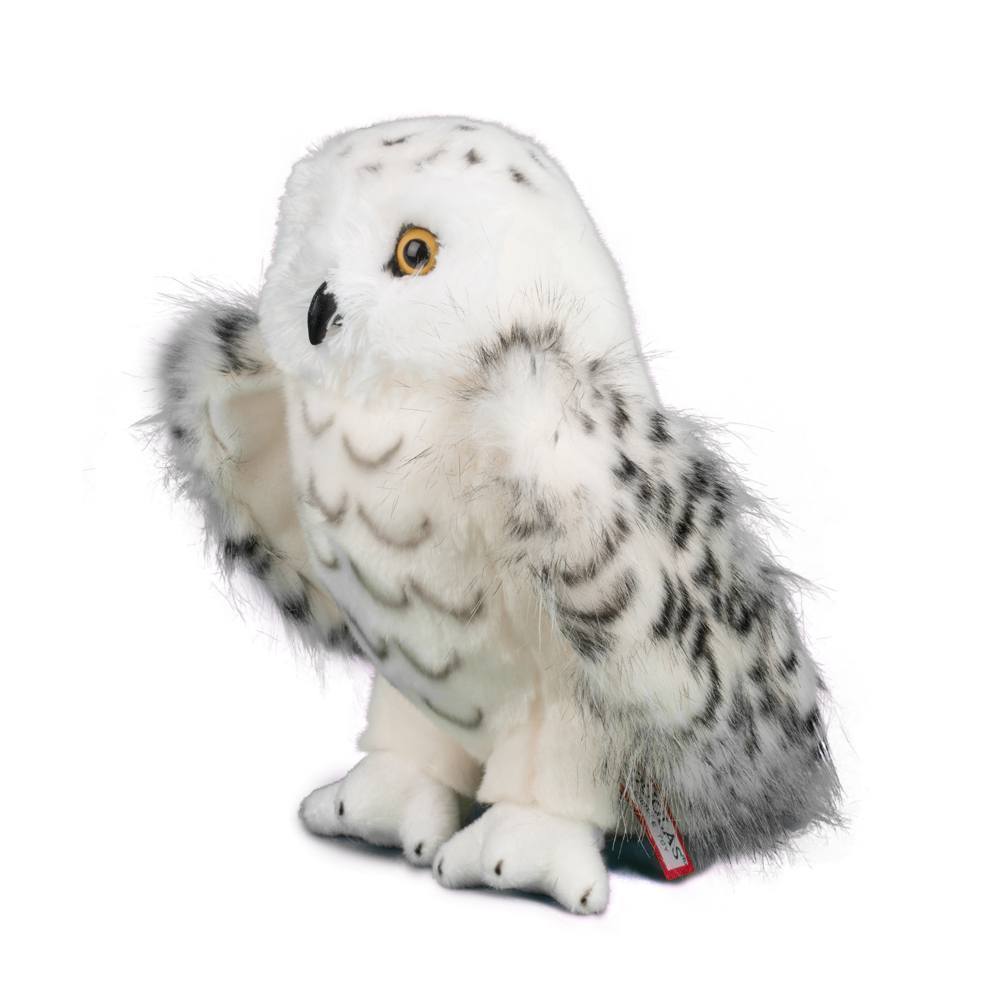 Snowy Owl - Legend