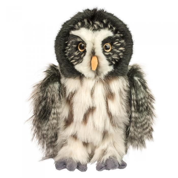 Great Gray Owl Darius