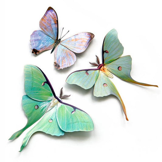 Spring Luna Moth Set