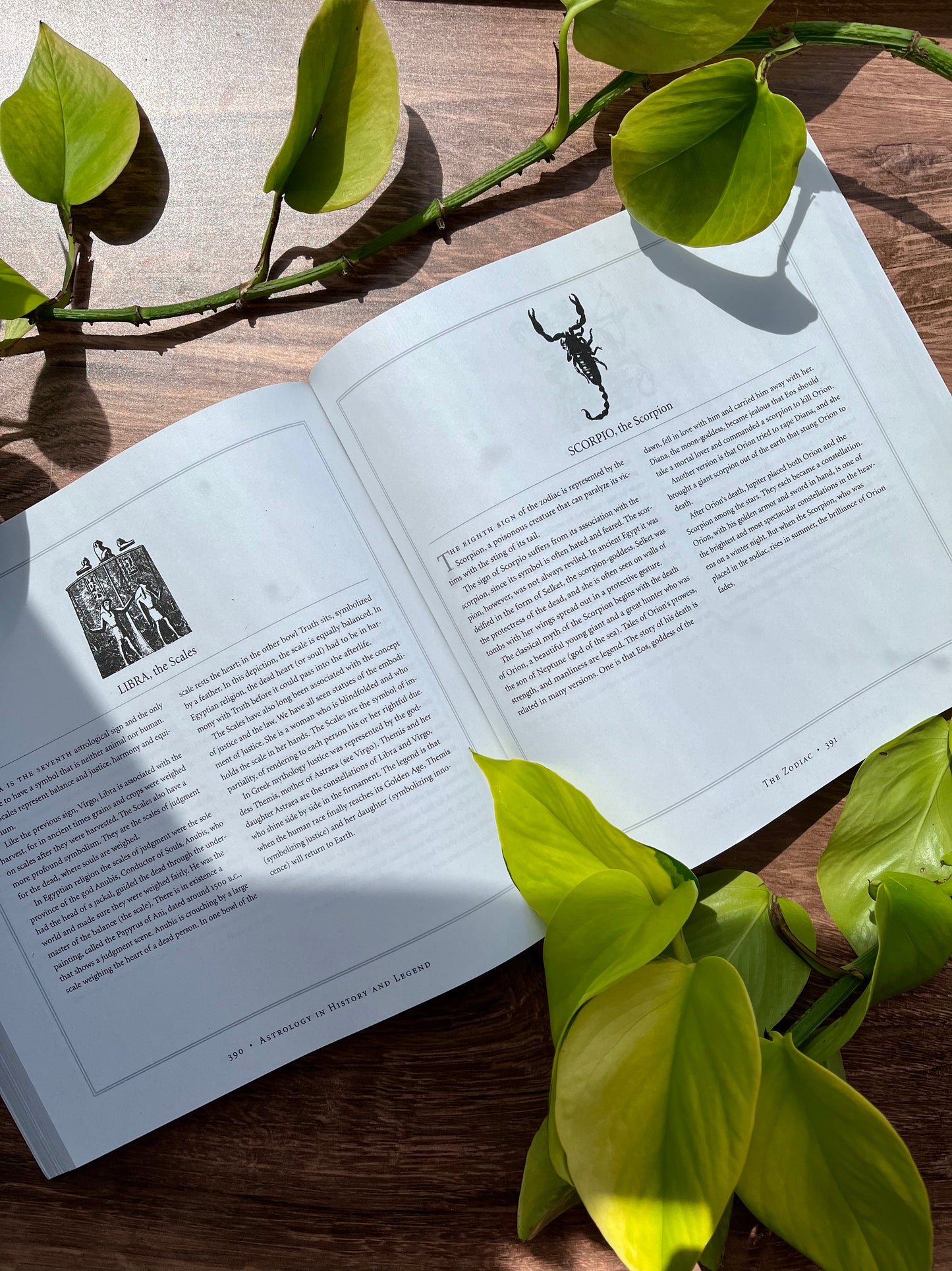 The Only Astrology Book You'll Ever Need
