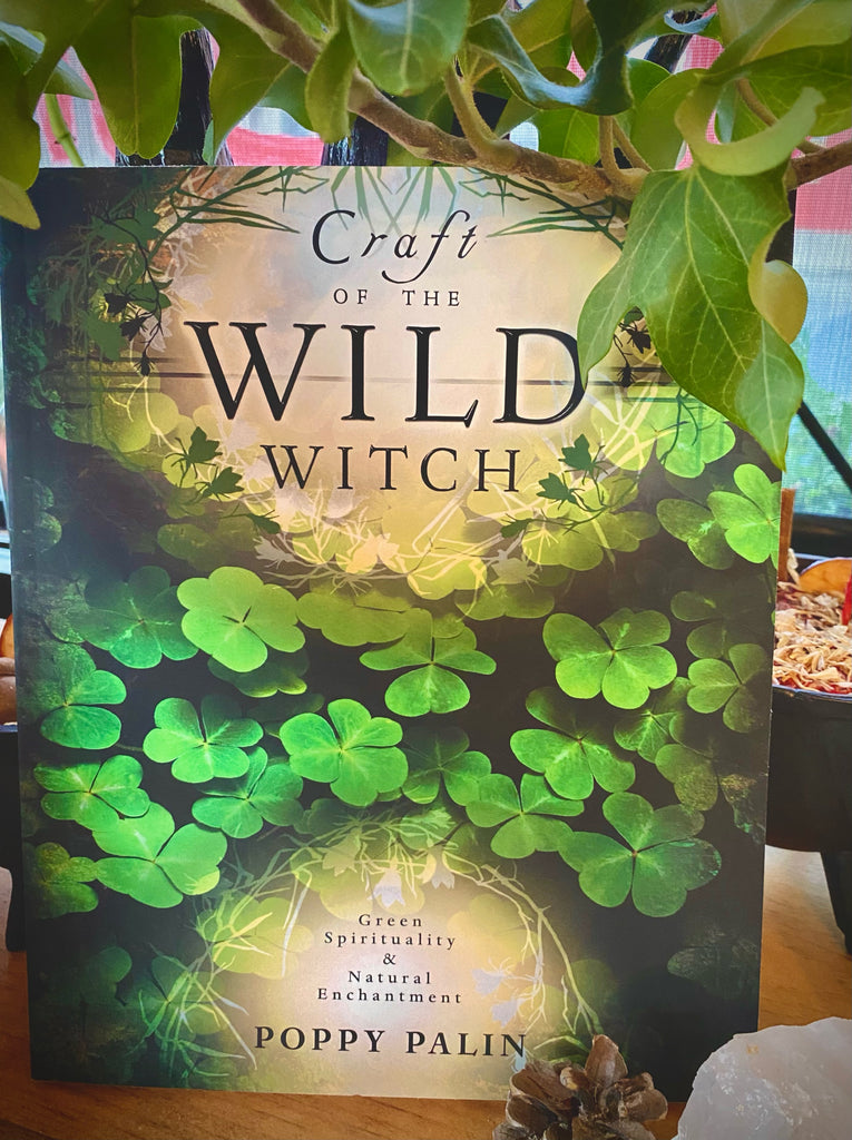 Craft Of The Wild Witch