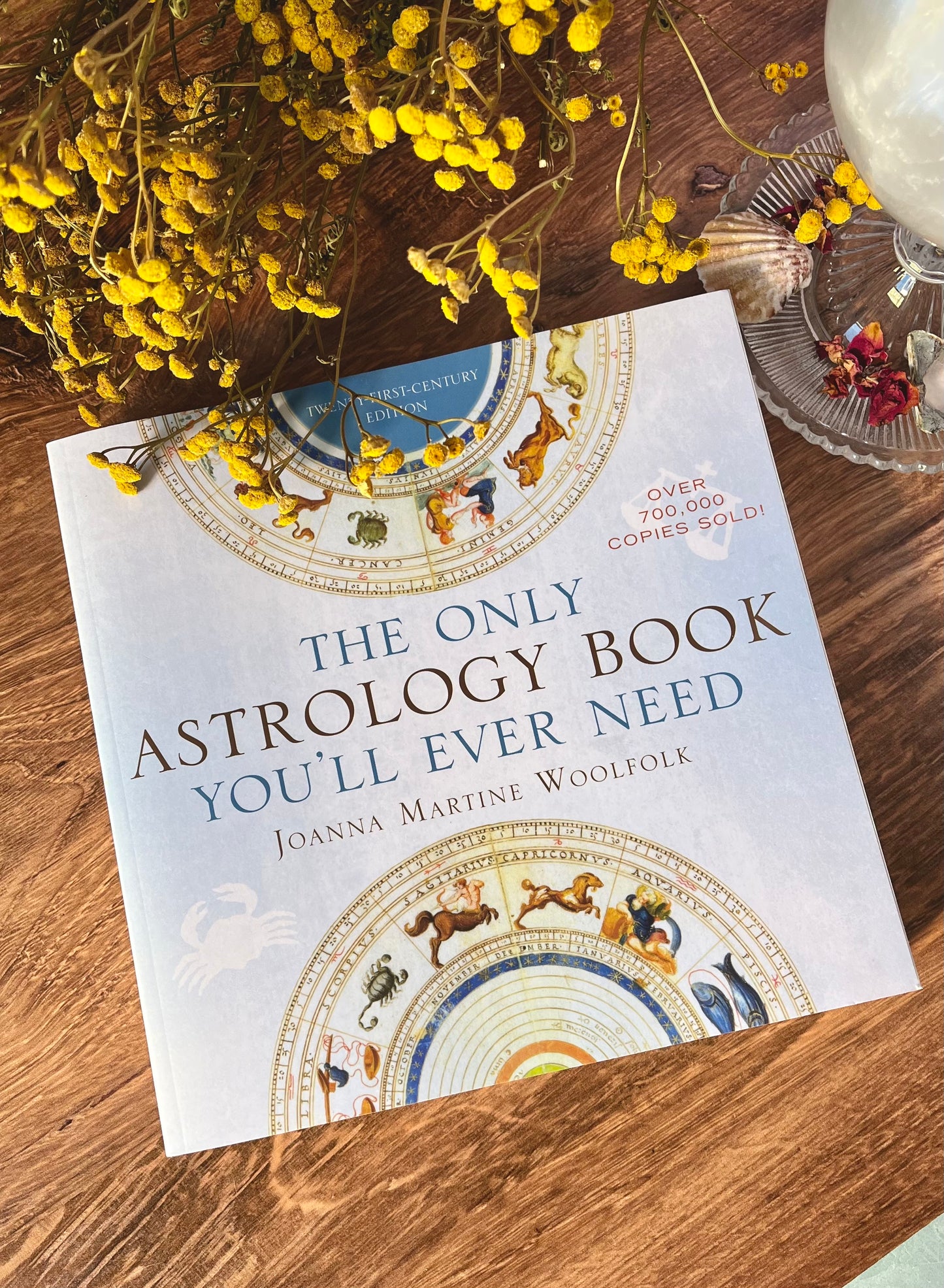 The Only Astrology Book You'll Ever Need
