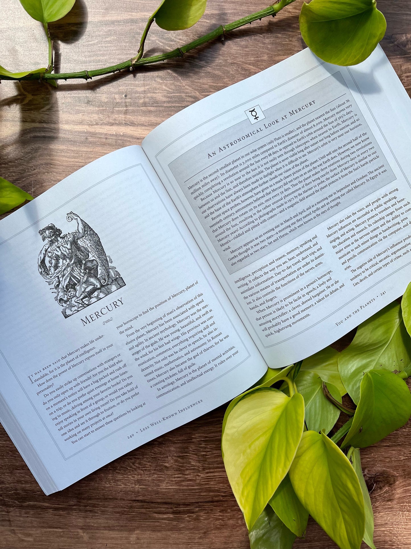 The Only Astrology Book You'll Ever Need