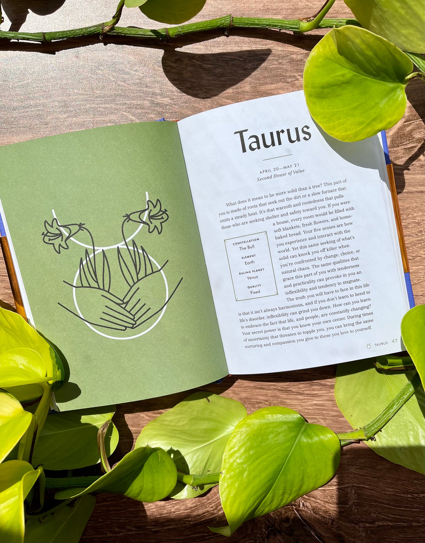 The Astrological Grimoire: Timeless Horoscopes, Modern Rituals and Creative Altars for Self-Discovery