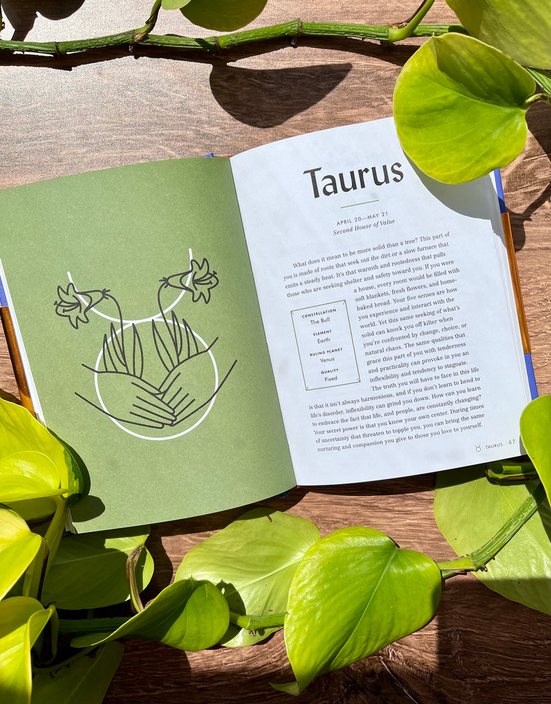 The Astrological Grimoire: Timeless Horoscopes, Modern Rituals and Creative Altars for Self-Discovery