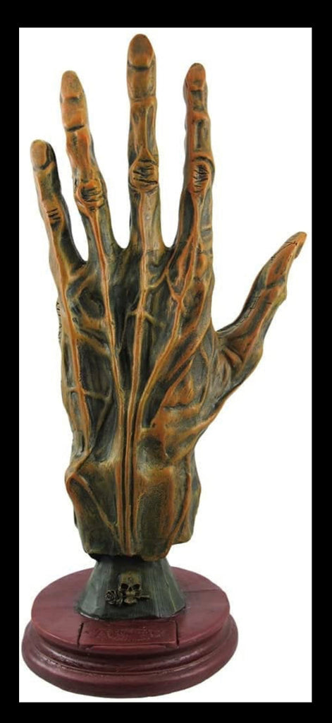 Palmistry Alchemy Hand